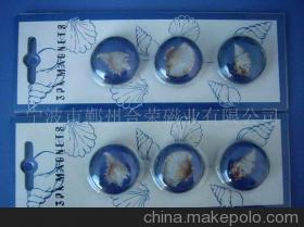 【供应磁性产品、磁性文具、磁性材料(图)】价格,厂家,图片,永磁材料,宁波合荣磁业-